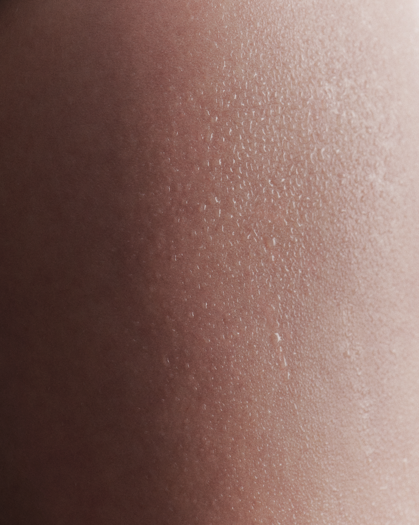 Crème de You + Glossier You - Image 8
