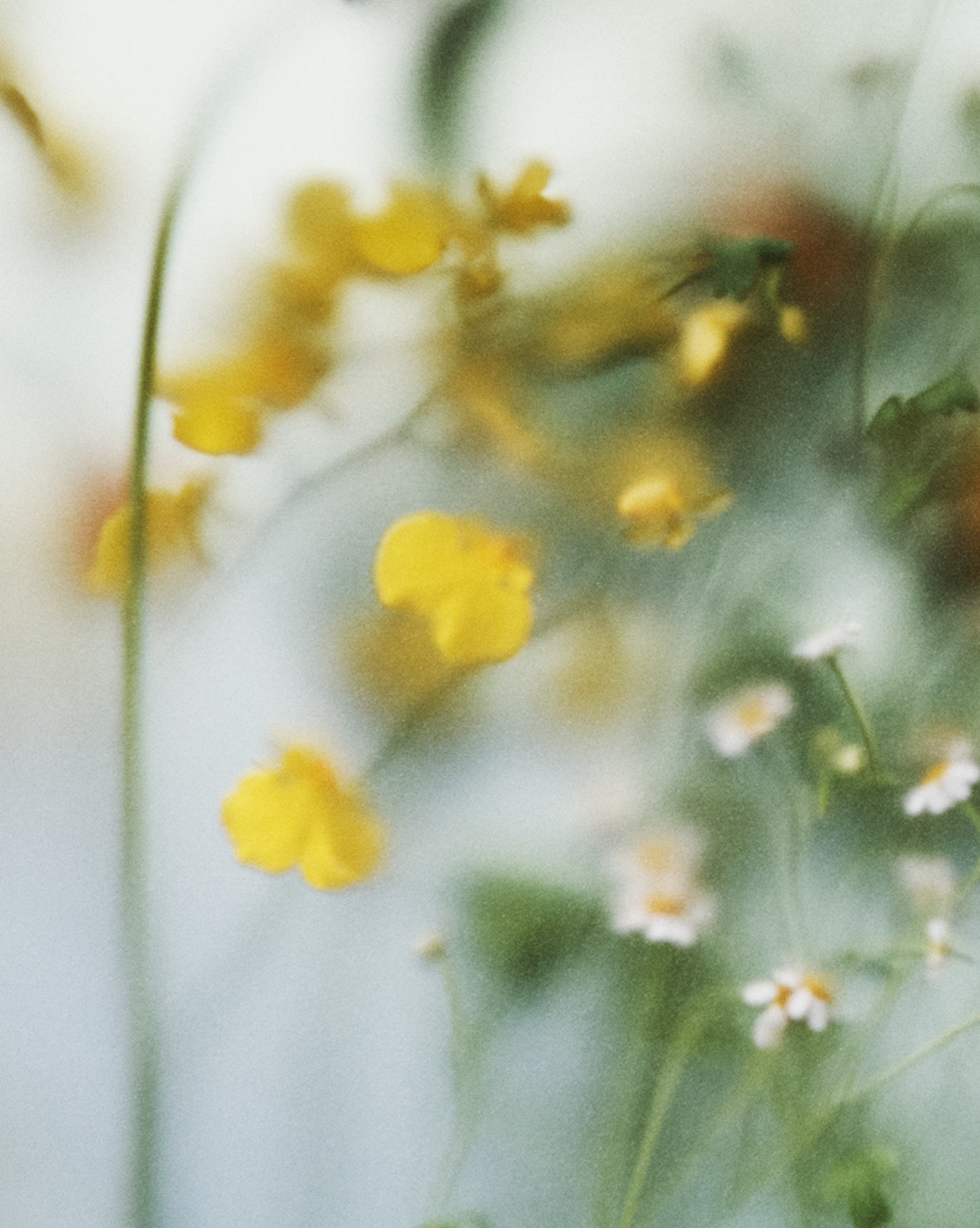 Glossier You Fleur - Image 4